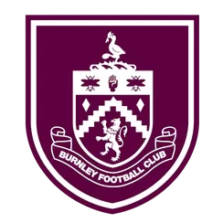伯恩利 图标